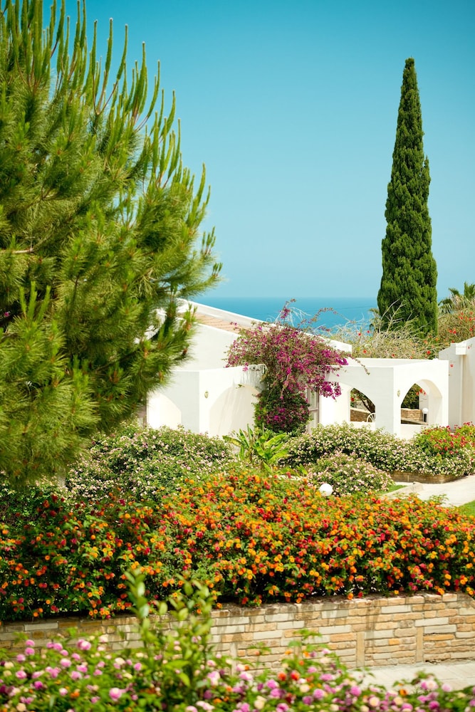 The Olive Tree Hotel 40/50