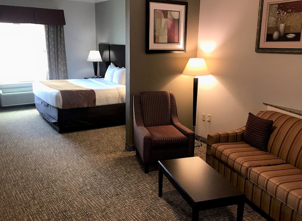 Comfort Suites Bay City 18/34