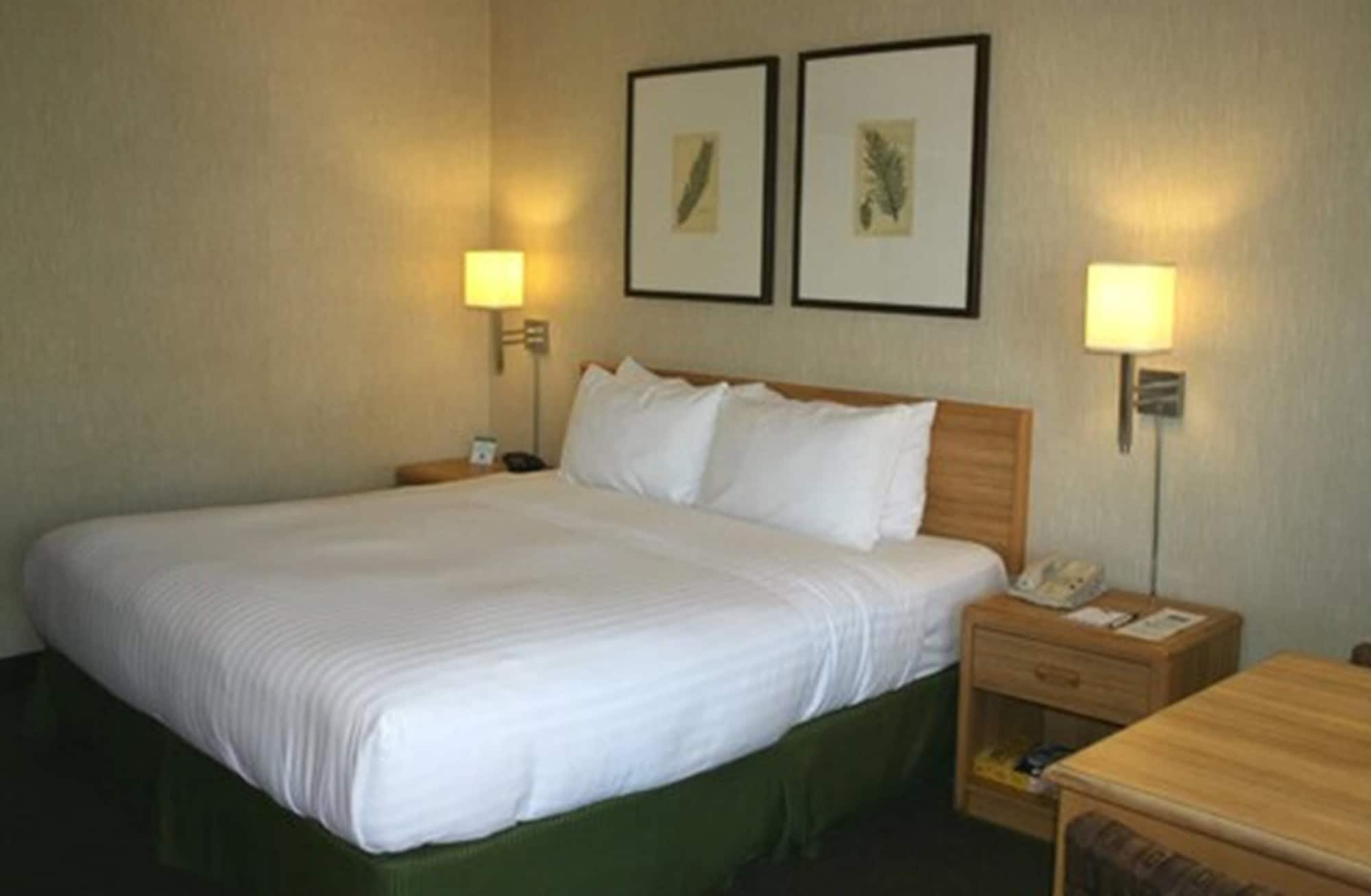 STANDARD, QUEEN BED
