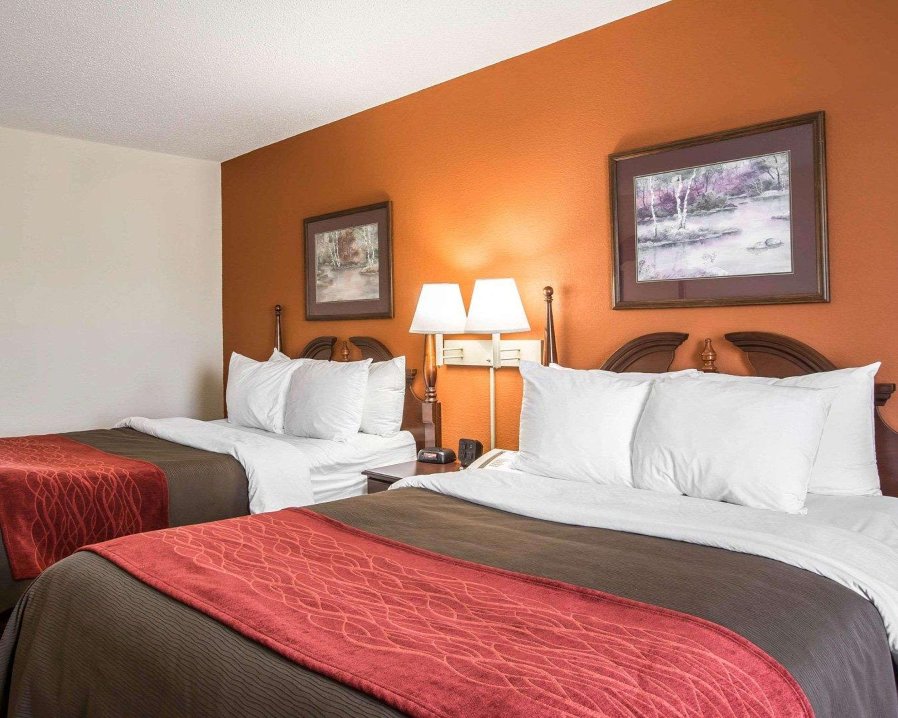 Suite, 2 Queen Beds