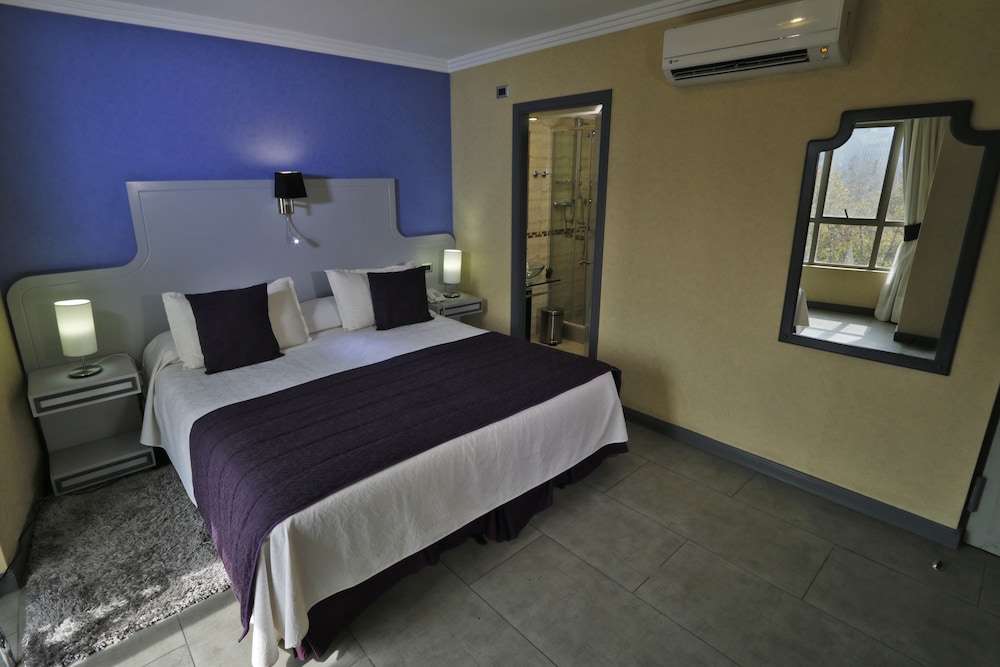Hotel Principado Express 15/50