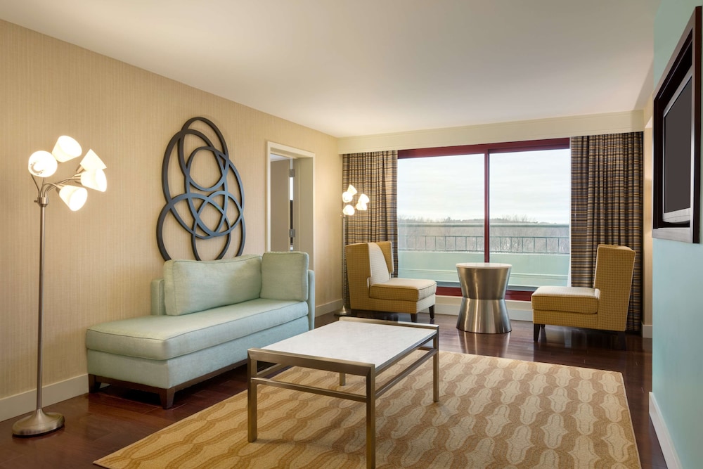 Embassy Suites by Hilton Boston Waltham 19/66