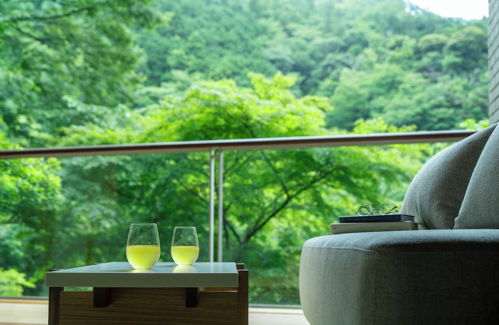 Hoshino Resorts Kai Hakone 46/46