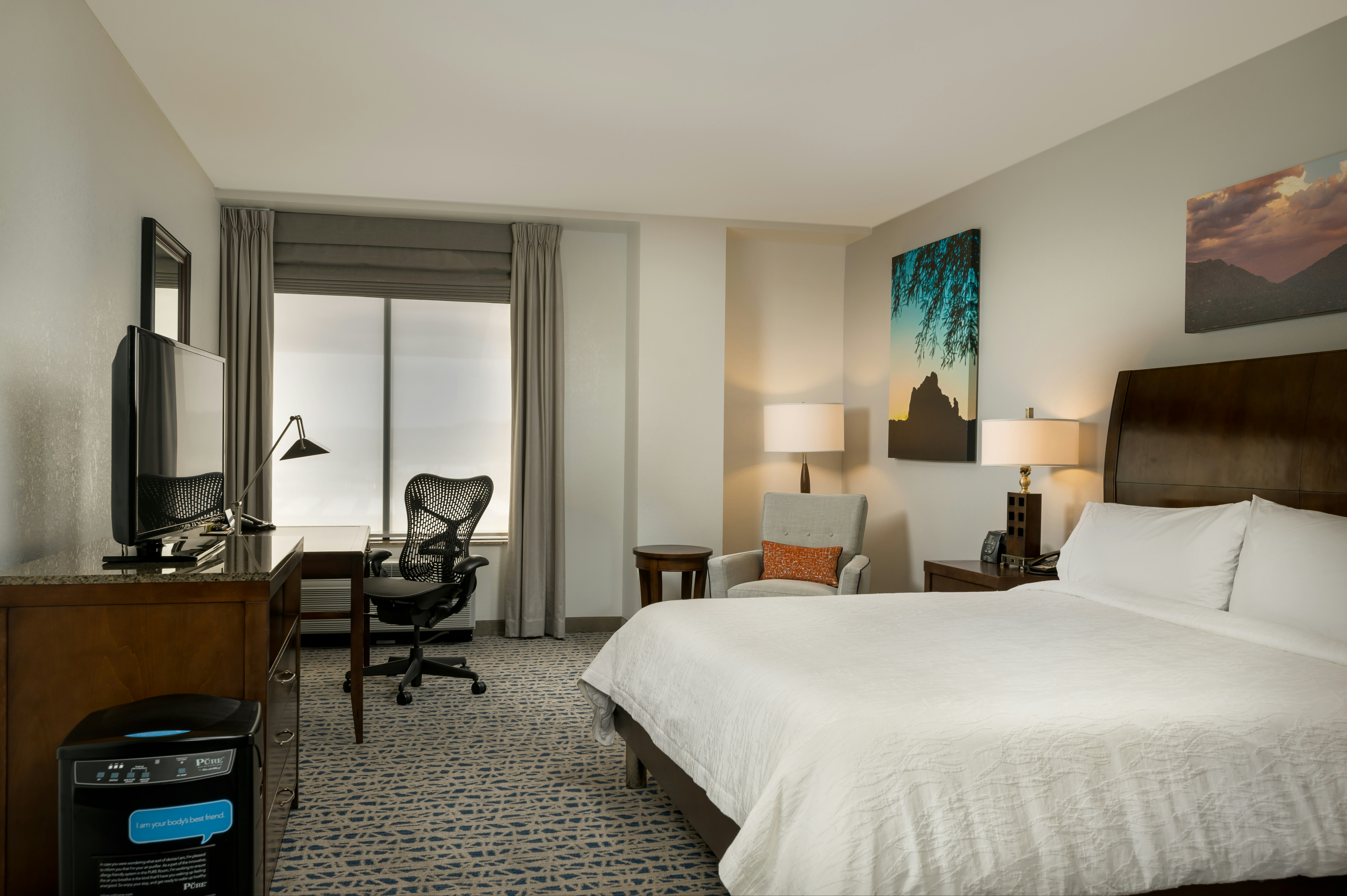 Room at Hilton Garden Inn Phoenix Airport North, PHOENIX - AZ