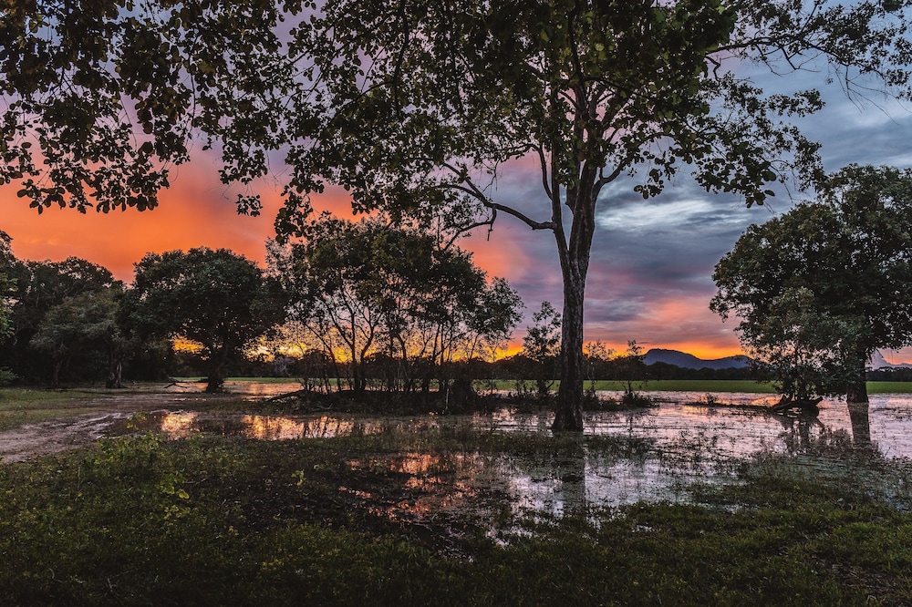 Mahoora Tented Safari Camp - Yala 44/50
