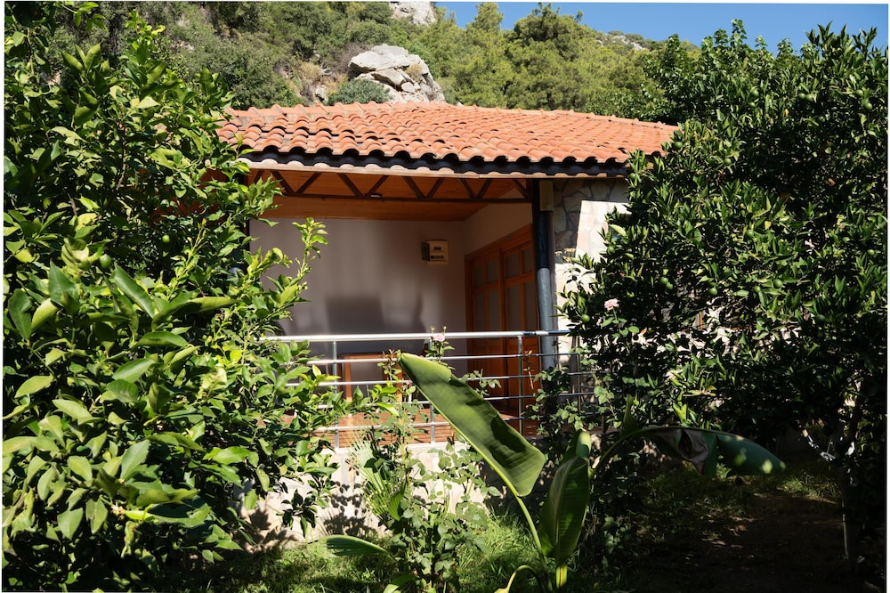 Cirali Hotel 3/50