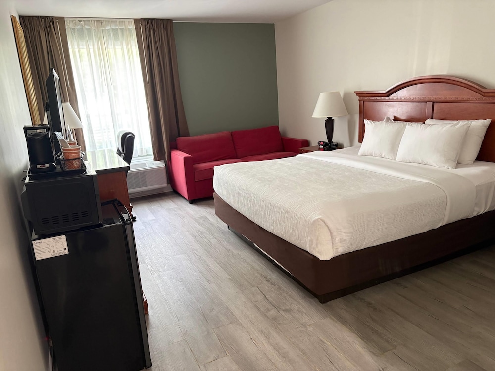 Upgrade, King Bed