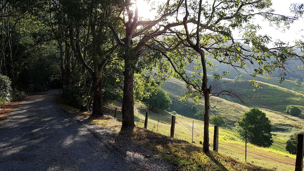 Dayboro Cottages & Llama Walks 28/35