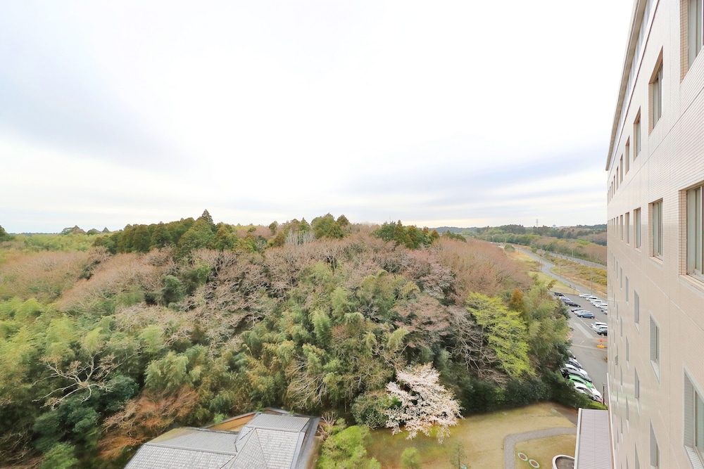 Narita Gateway Hotel 69/73