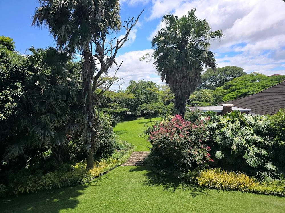 Birds of Paradise B&B 42/46