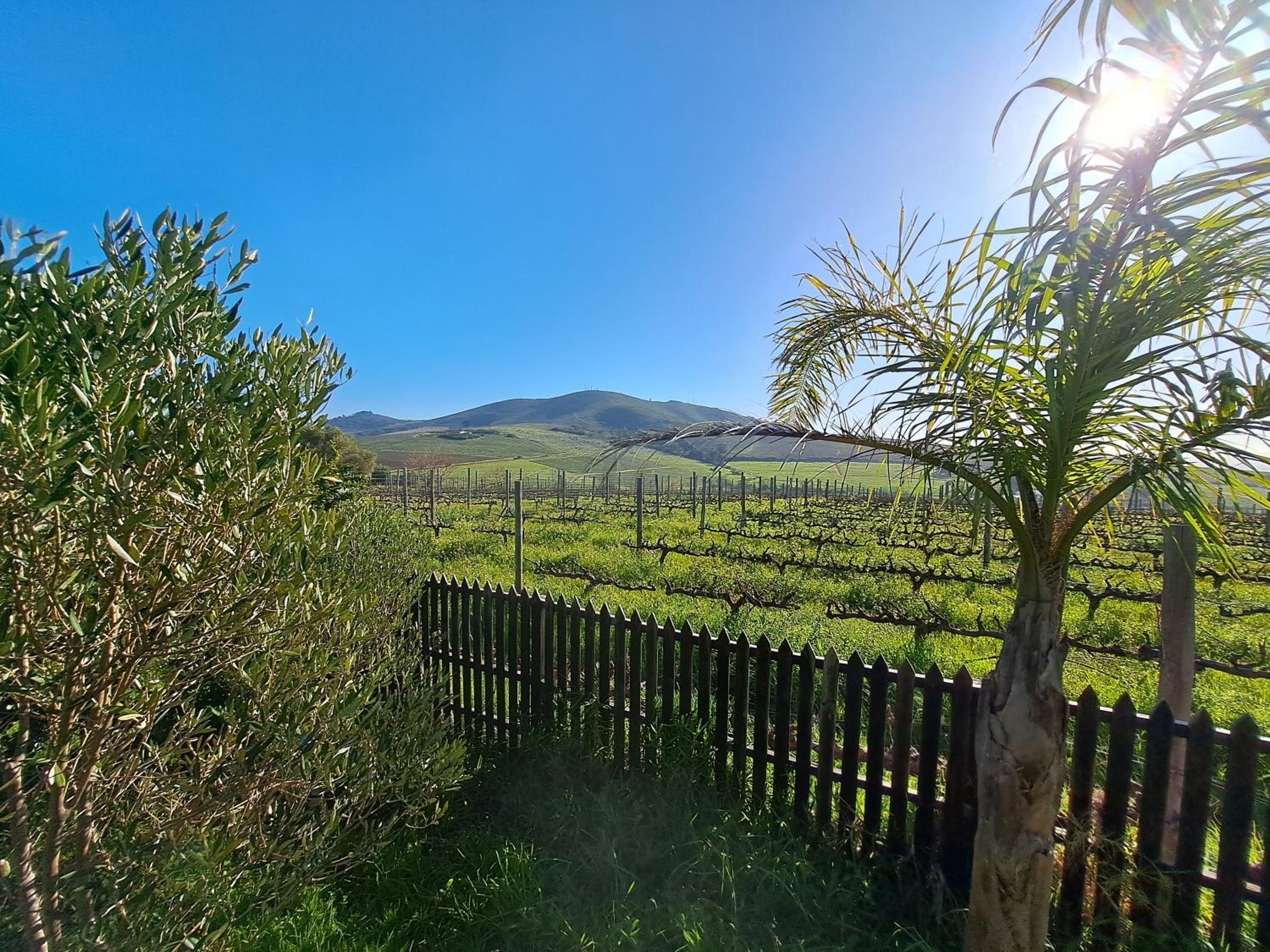 Sunrise And Sunset Apartments At Domaine Coutelier 43/50