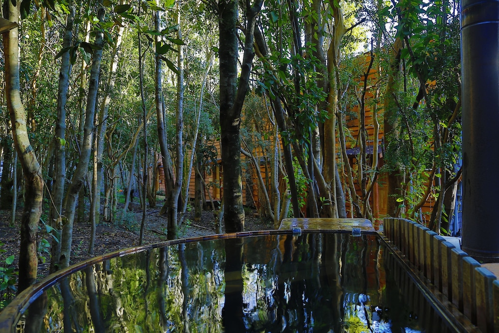 Cabanas Anulen Bosque Nativo 42/49