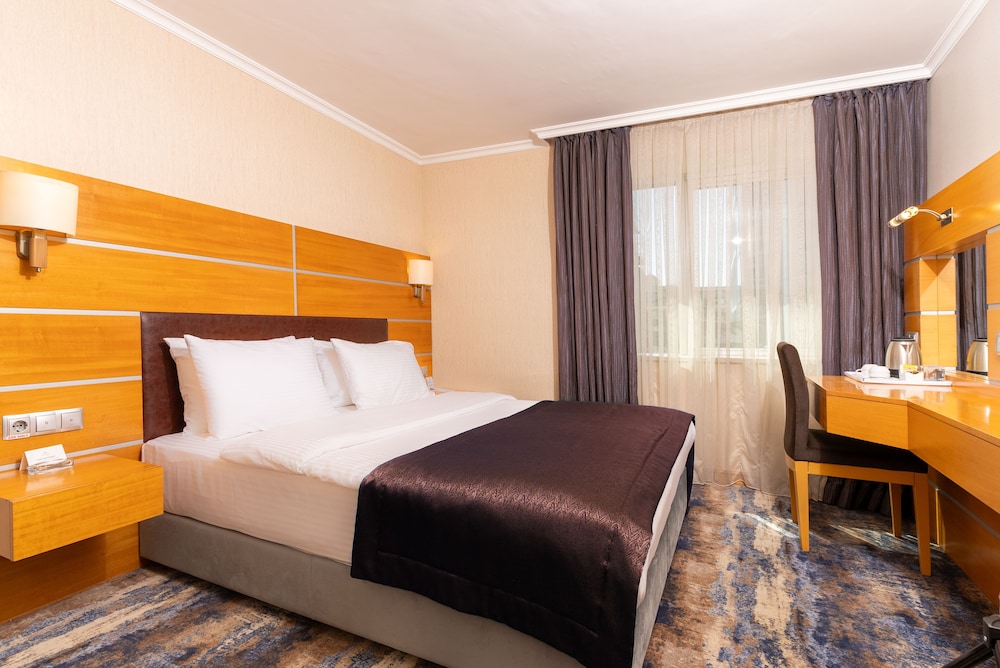 Ankara Plaza Hotel 29/66