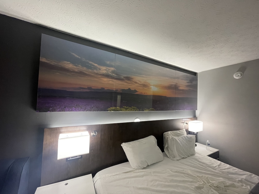 Luxor Inn & Suites 17/52