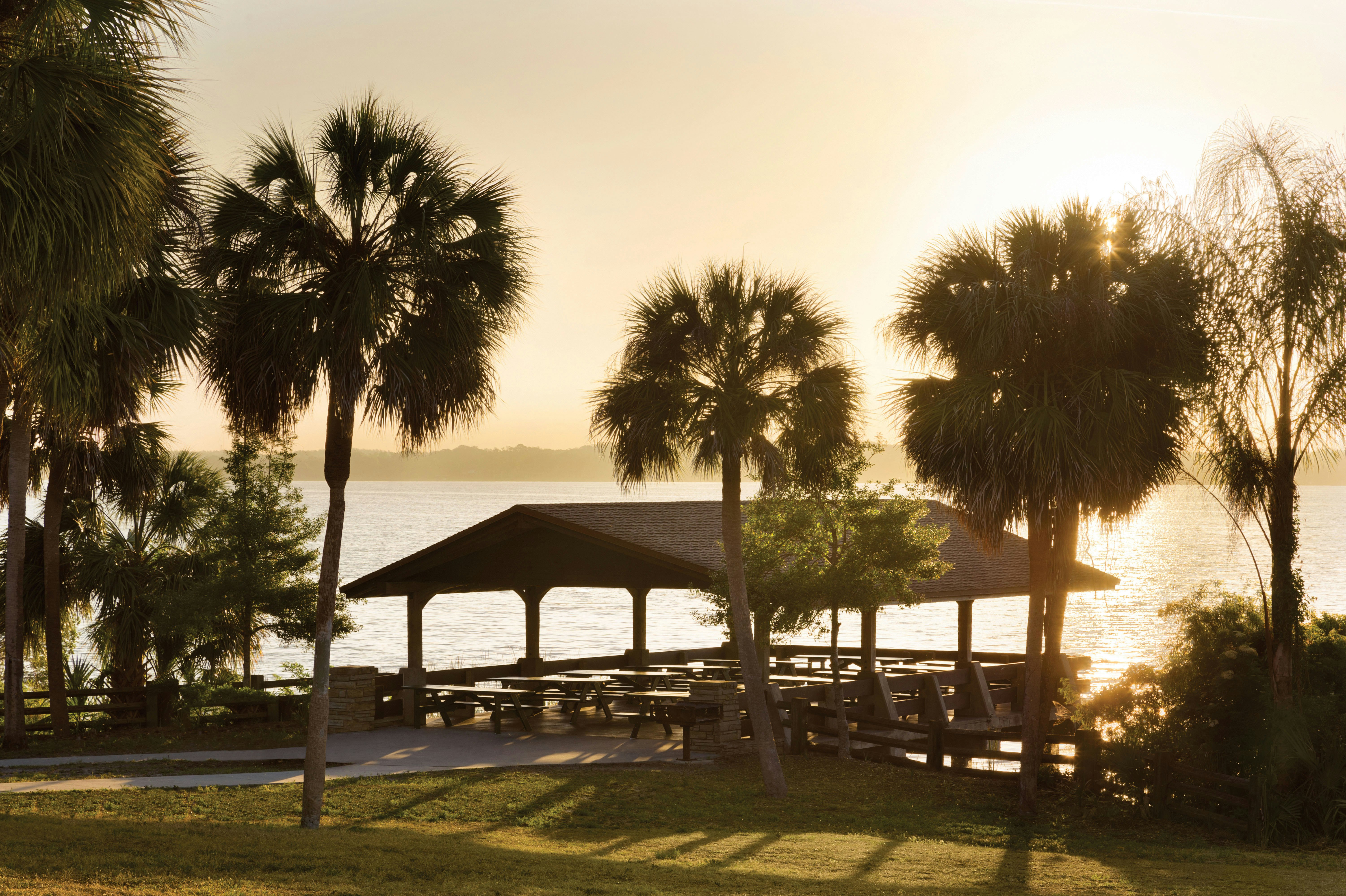 Hampton Inn & Suites Tarpon Springs 39/43