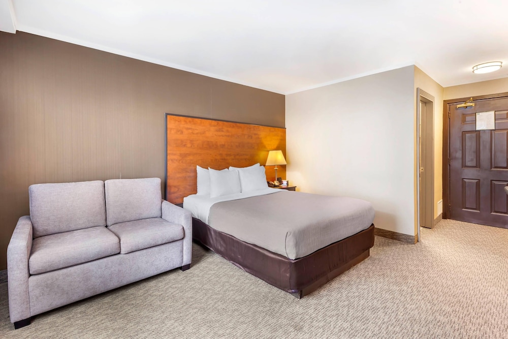 Standard, Queen Bed, Sofa