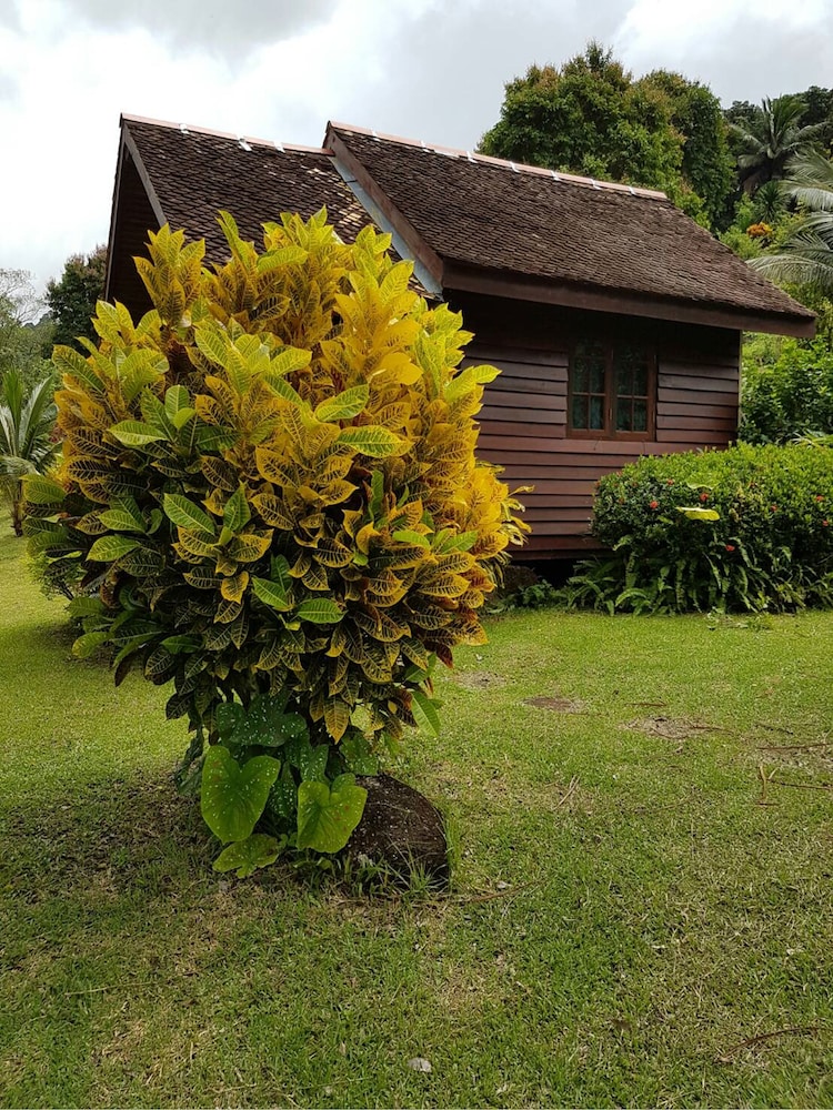 Phanom Bencha Mountain Resort photo5