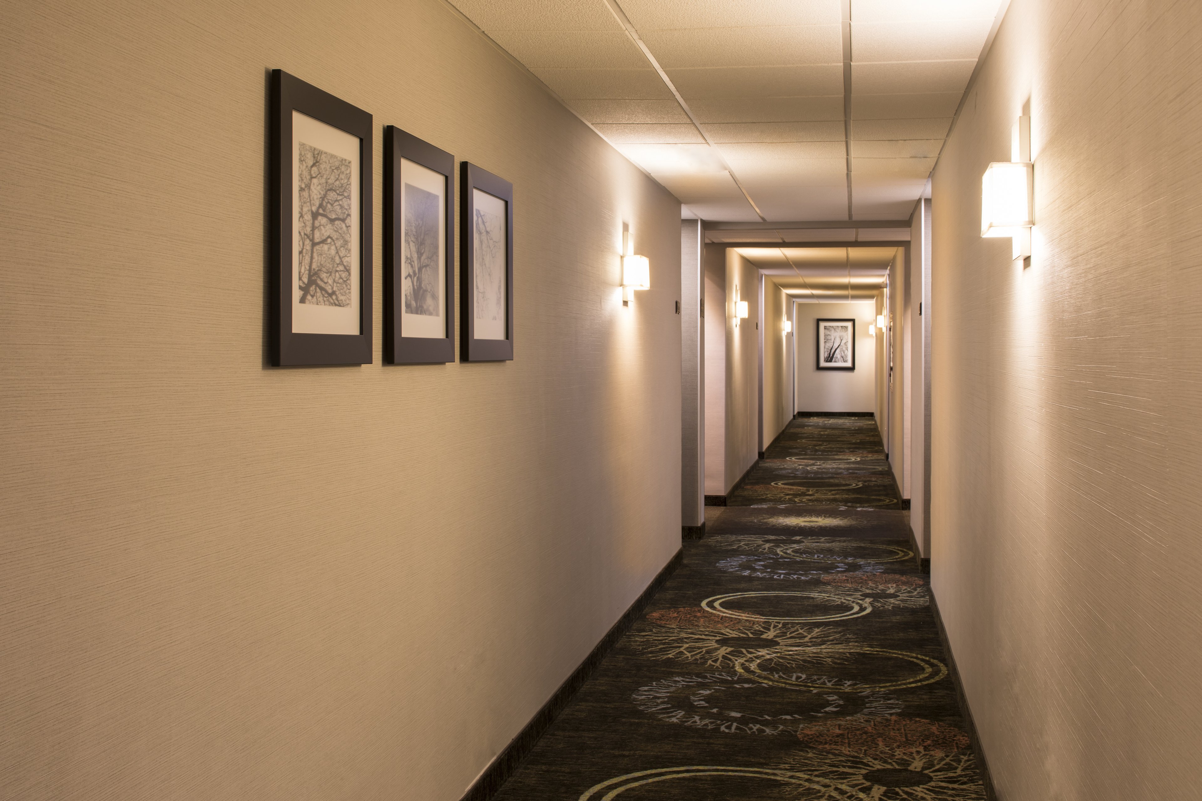 Staybridge Suites Monterrey - San Pedro 19/38