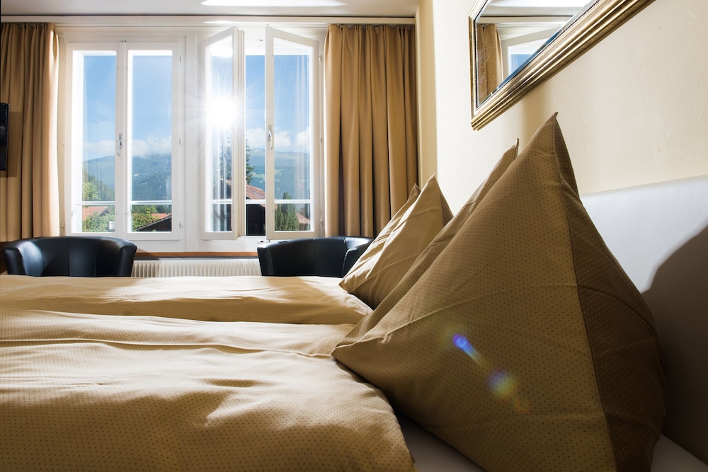 Jungfrau Hotel 18/54