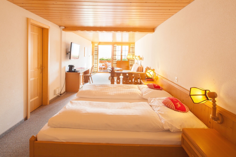 Hotel Alpenhof 21/57