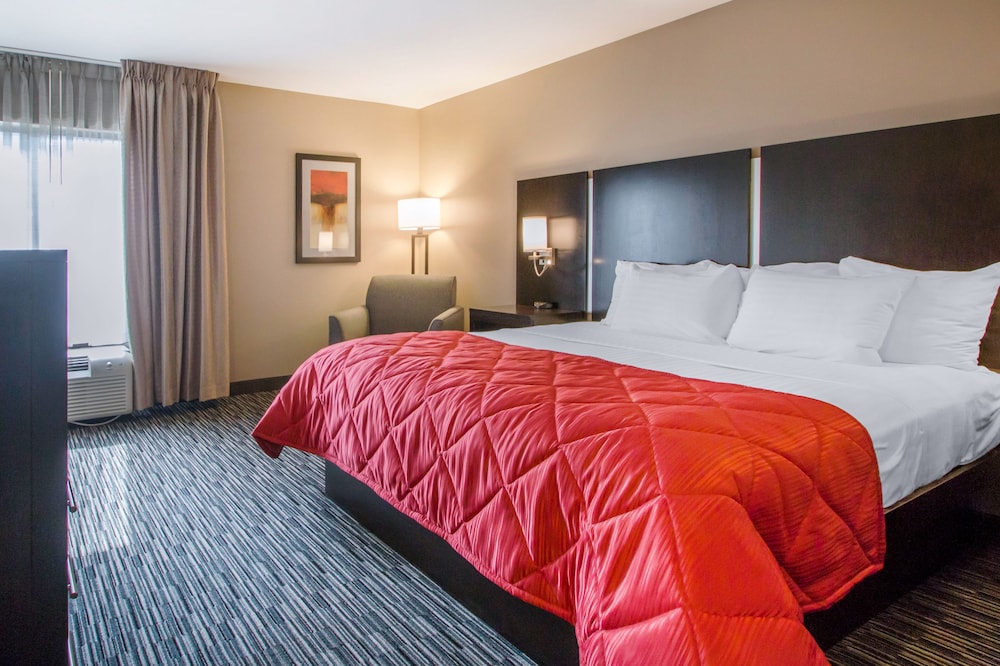 Best Western Courtview Hotel 17/68