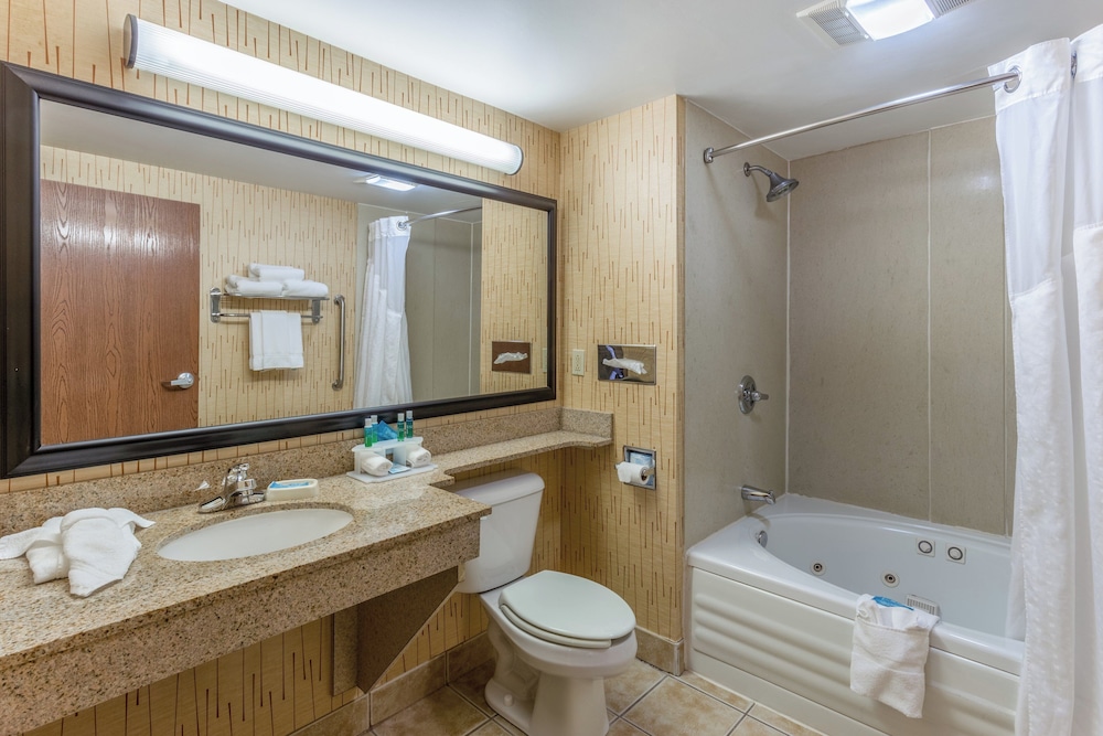 Holiday Inn Express Hotel Suites Bowling Green 57/62