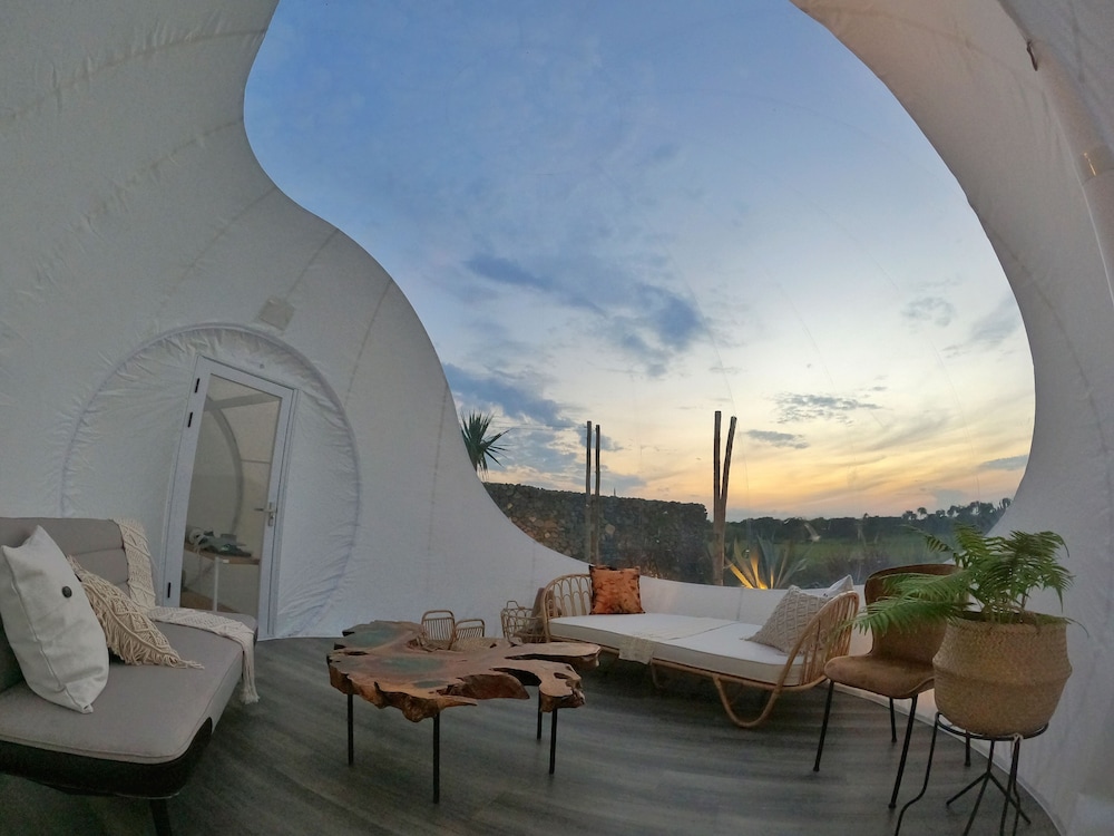 Green Land Bubble Glamping 43/60