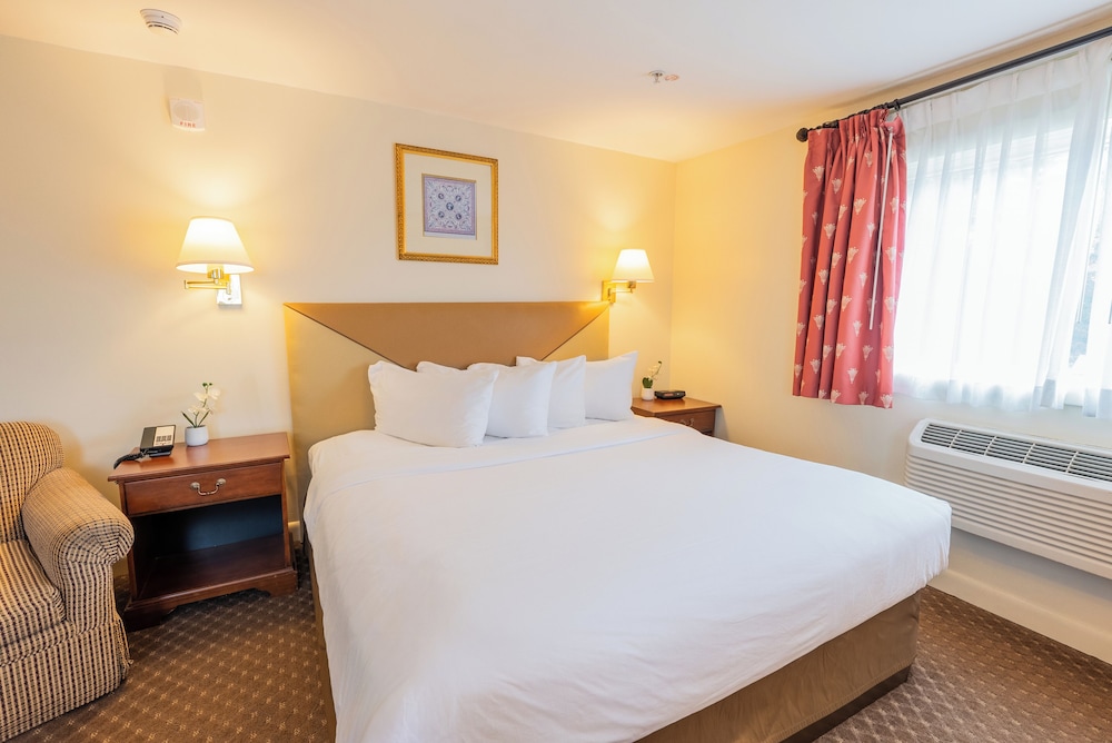 ECONOMY, KING BED