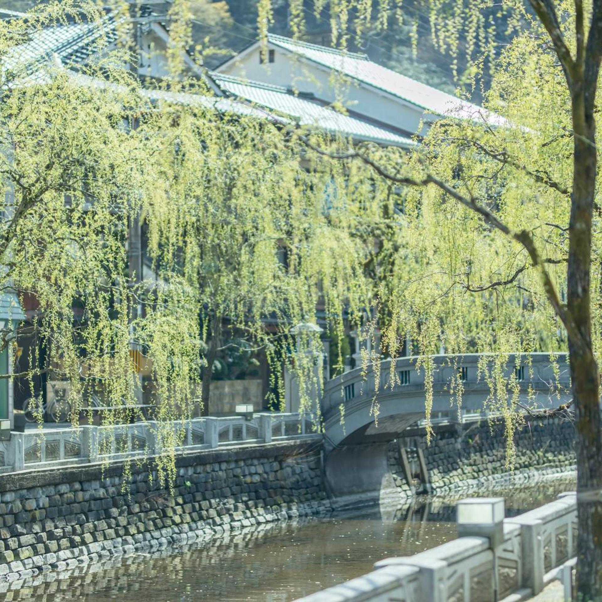 Kinosaki Onsen Ryokan Sensui 53/58