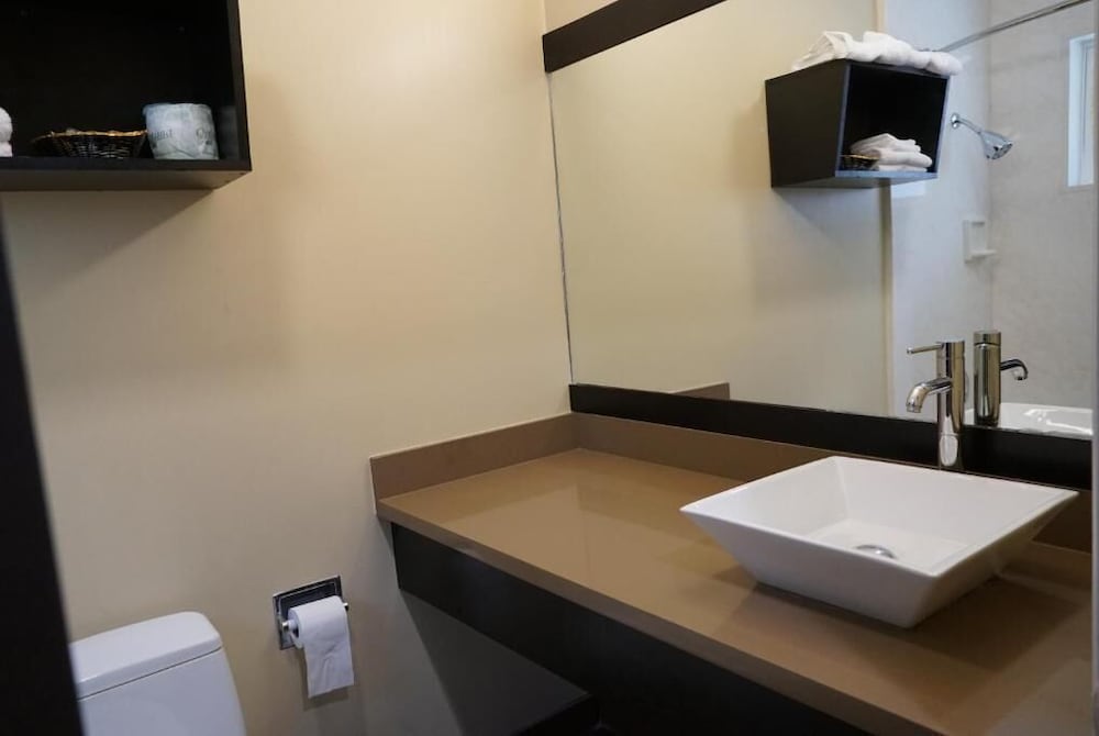 Muir Woods Lodge (ex Americas Best Value Inn and Suites - Mill Valley/San Francisco) 33/43