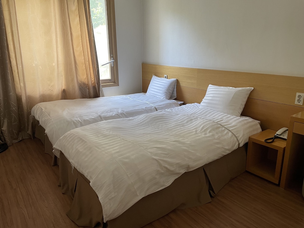 Suite, Kitchen, Sonesta Tower
