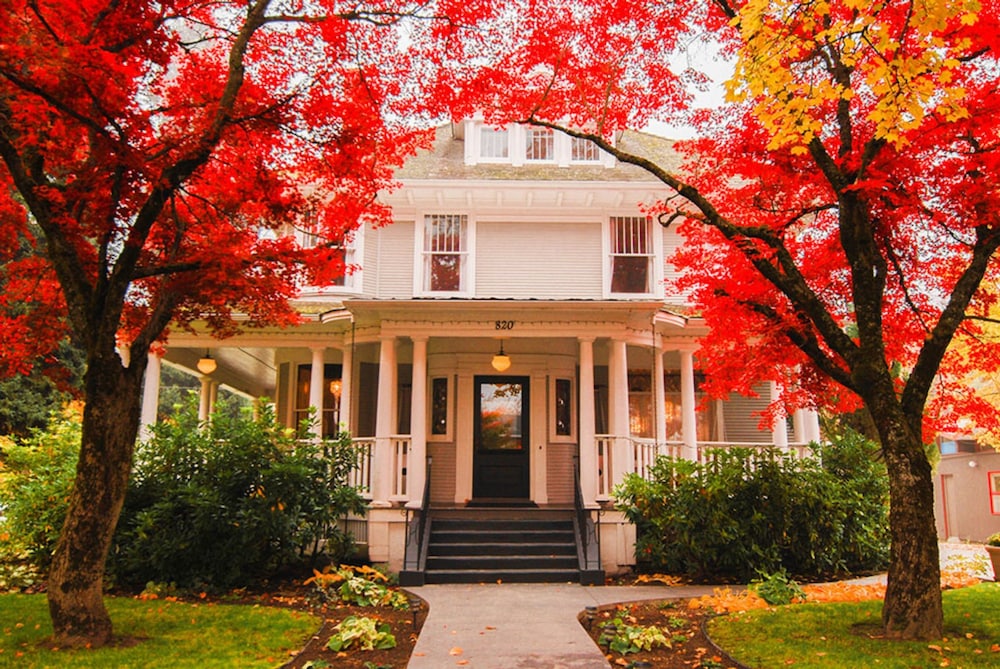 Blackwell Hotel 40/50