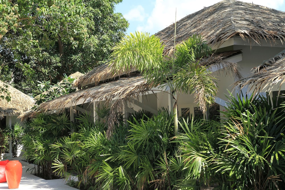 The White Cottage 50/56