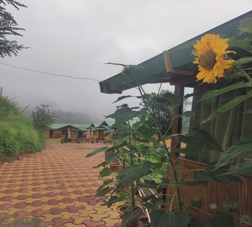 LaSerene The Cottage 46/49