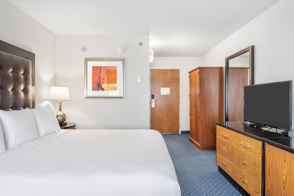 Room, King Bed