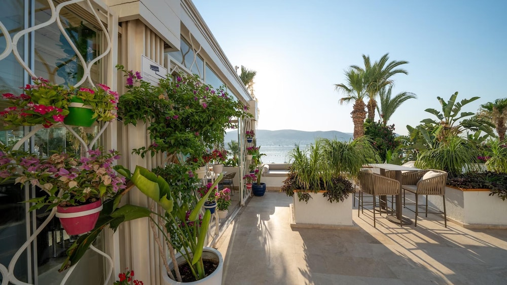 Agaya Bodrum - Adult Only 50/61