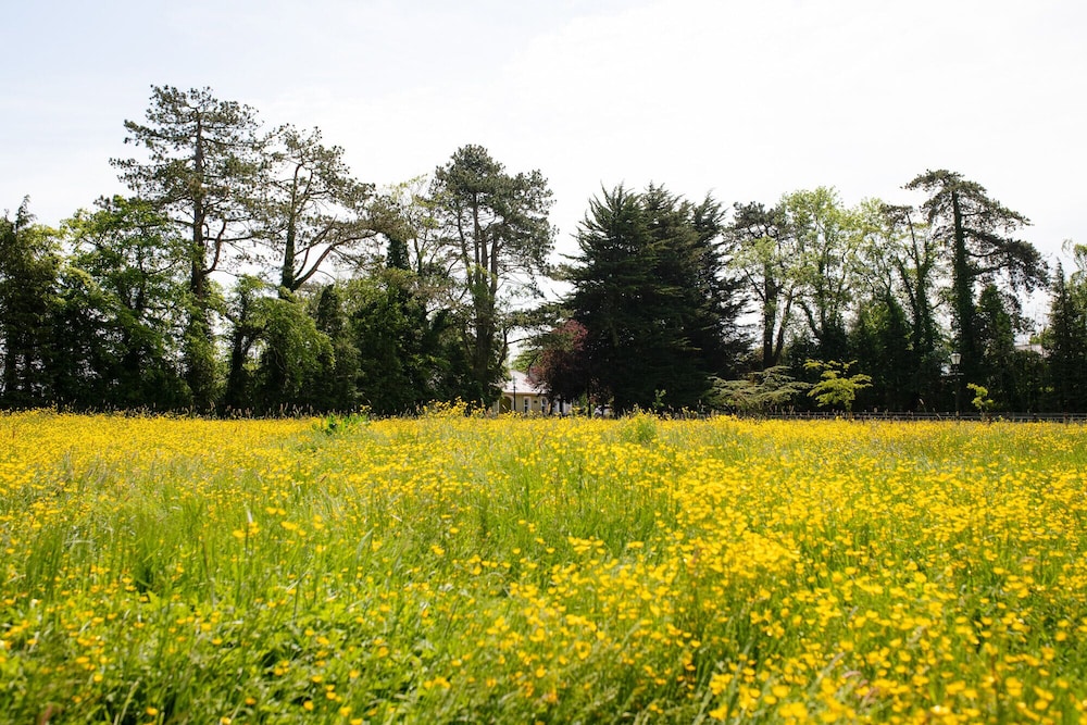 Brookhall Cottages 39/50