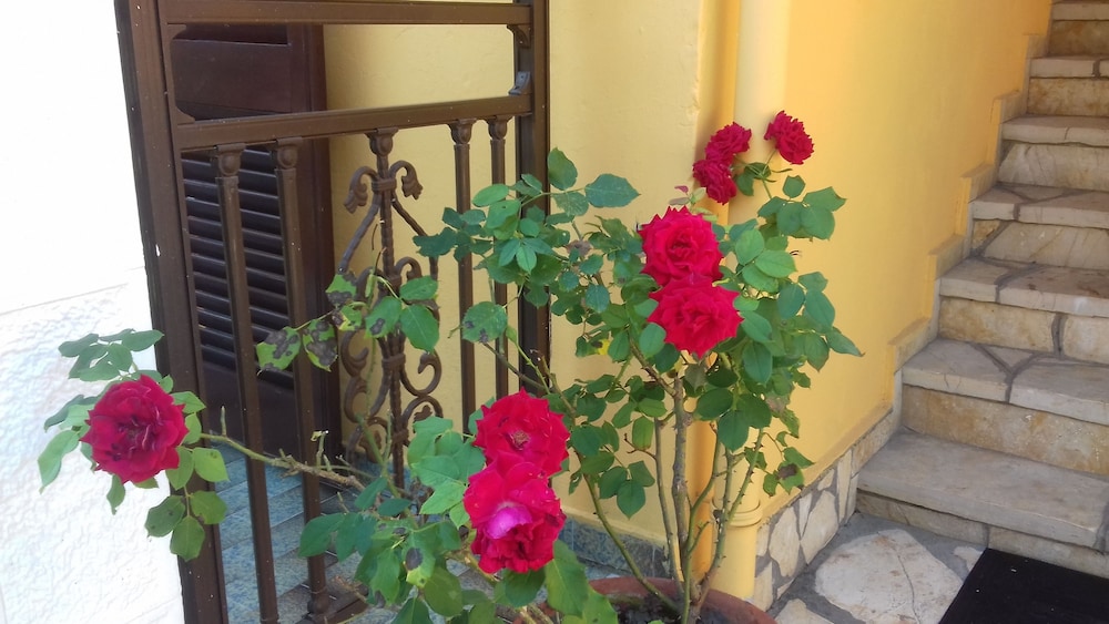 Corfu Dream Fani 6/64