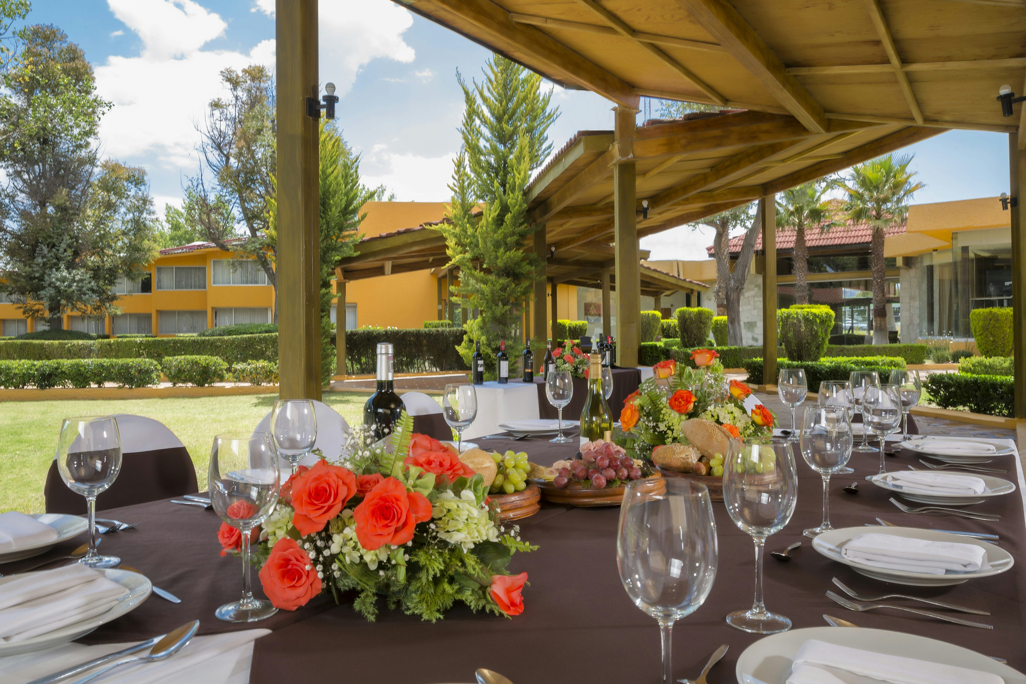 Gamma Pachuca 41/56