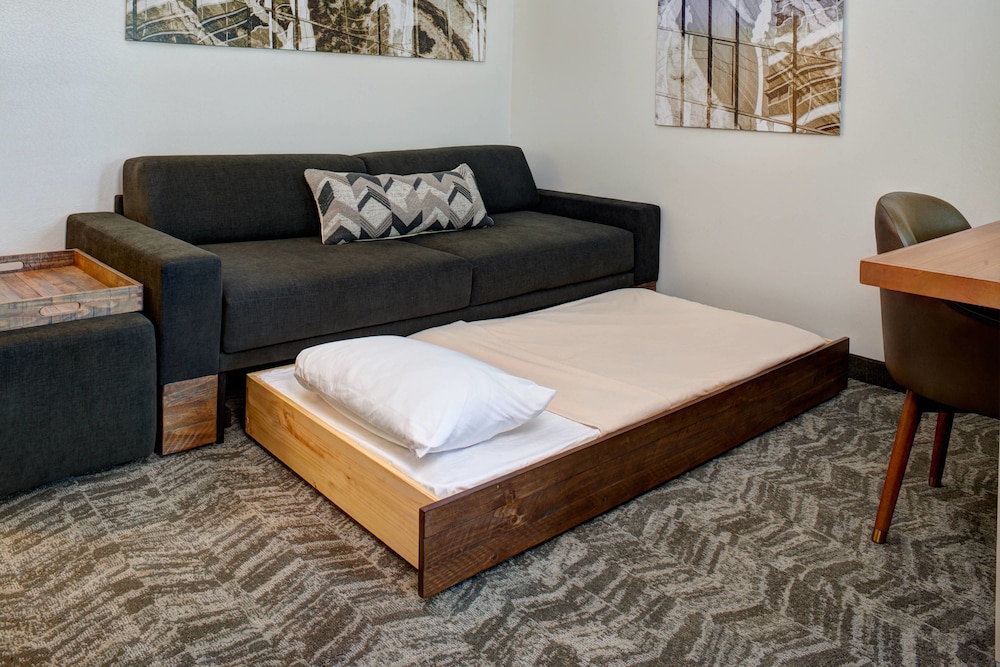 Springhill Suites By Marriott Saginaw 11/34