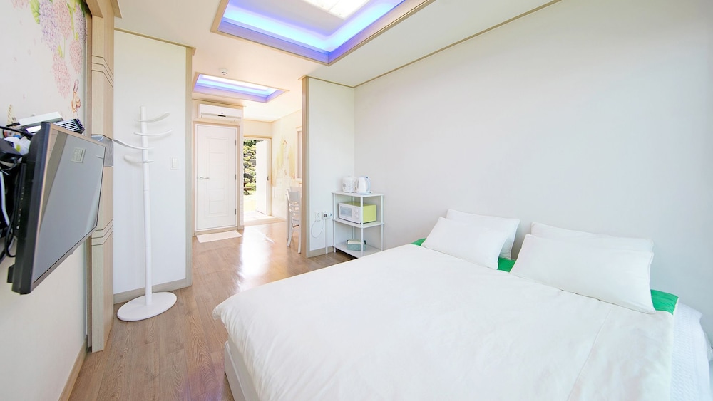 Hanulbora Pension 8/50