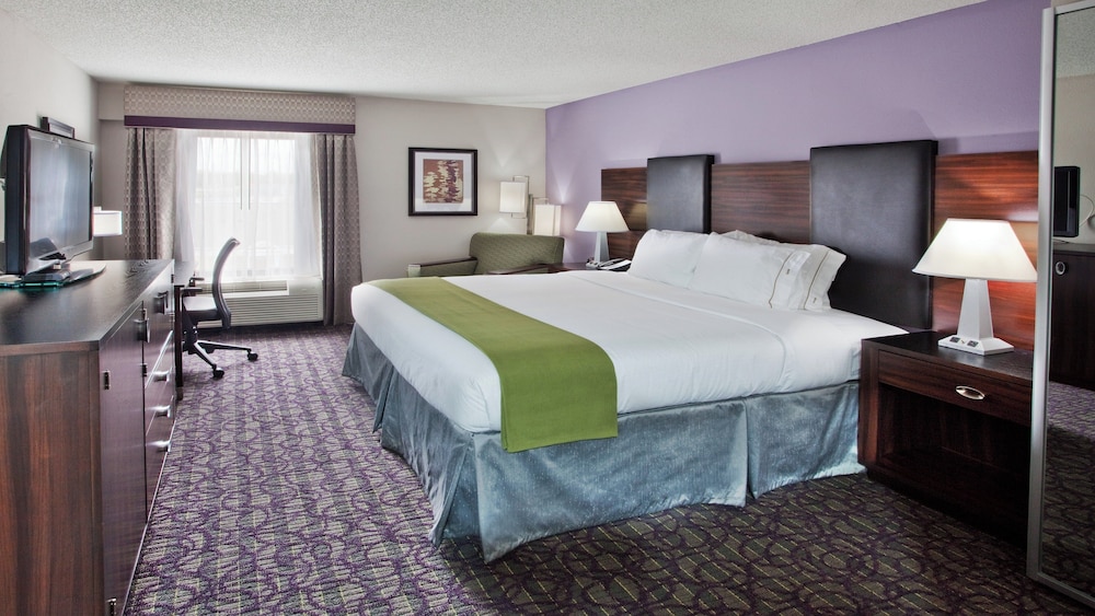 Holiday Inn Express Atlanta West Theme Park Area 19/62