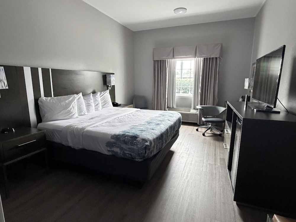 ROOM, KING BED, ACCESSIBLE
