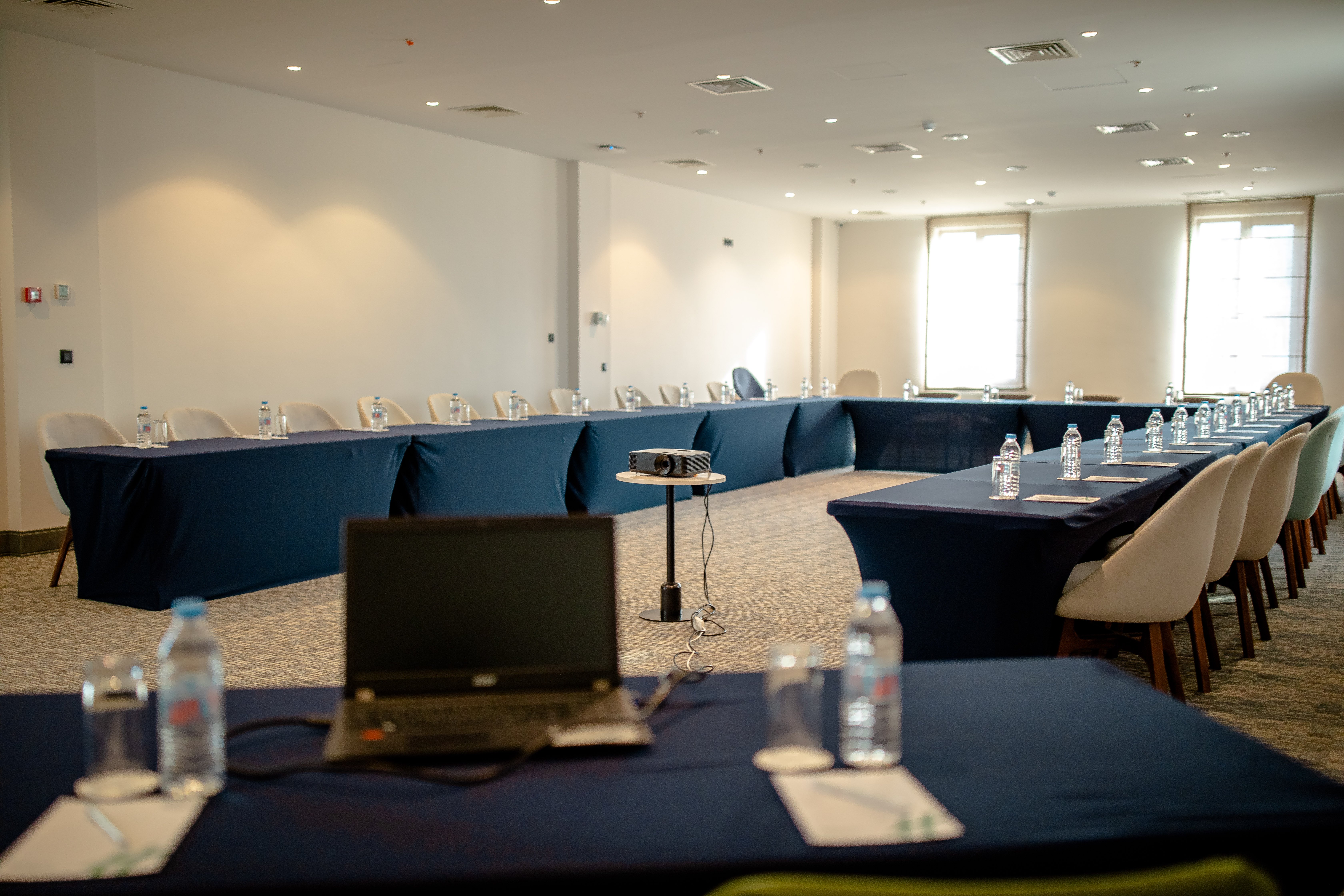 Holiday Inn Telavi 39/50