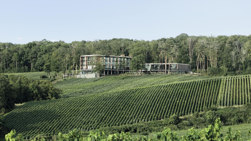 LOISIUM Wine & Spa Hotel Champagne 75/81
