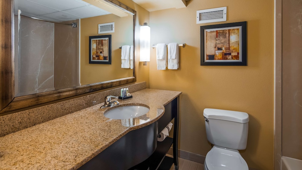 Wingate by Wyndham Greensboro/Coliseum 43/53