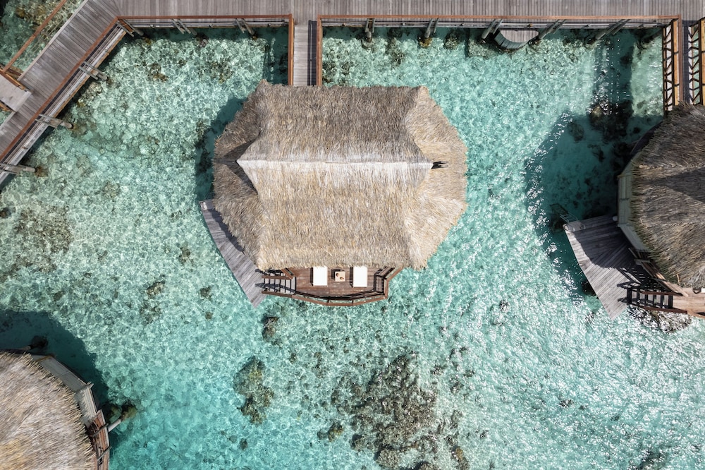 Le Tikehau by Pearl Resorts 25/47