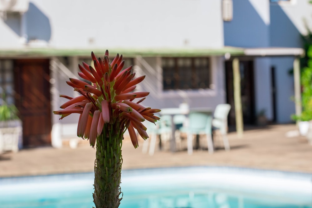 African Sands B&B 11/50