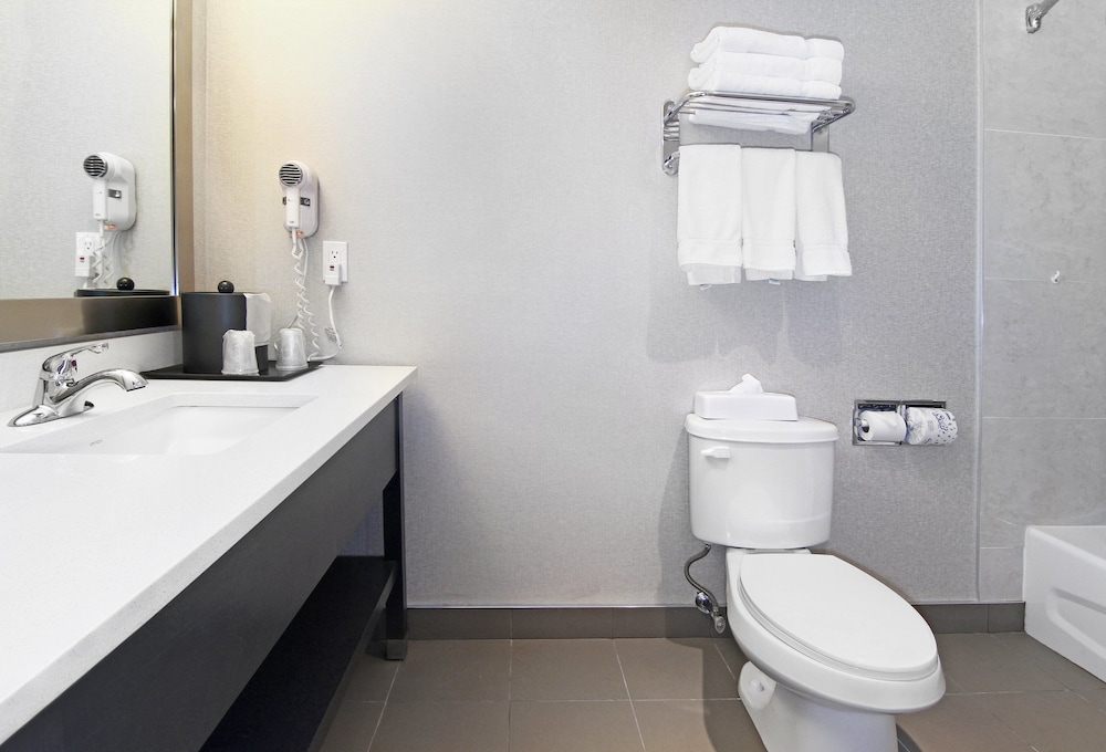 Holiday Inn Express Hotel & Suites Calgary 17/71