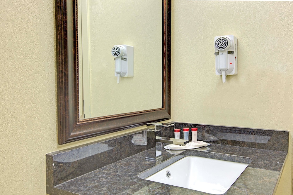Ramada Plaza Charlotte Airport Hotel and Conference Center 15/30